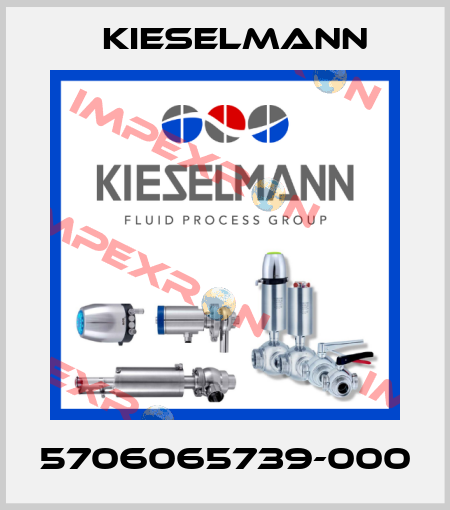 5706065739-000 Kieselmann