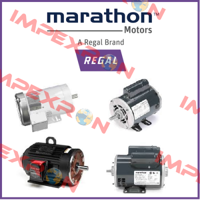 WX4503857-49009J Marathon (Regal)