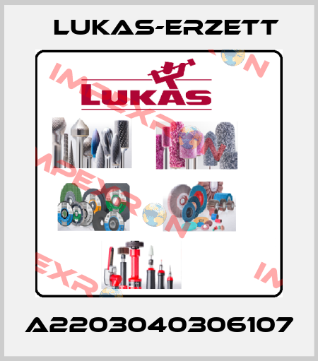 A2203040306107 Lukas-Erzett
