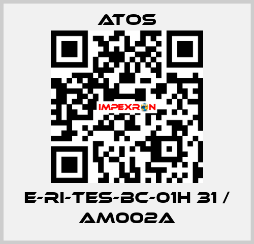 E-RI-TES-BC-01H 31 / AM002A Atos