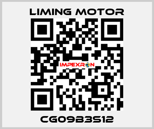 CG09B3S12 Liming Motor