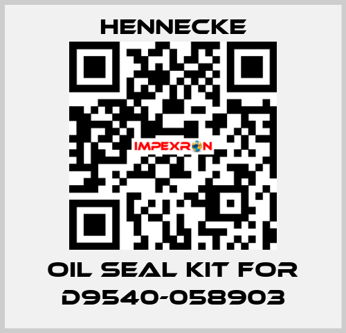 oil seal kit for D9540-058903 Hennecke