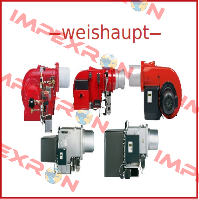 WG40N/1-1 ZM-LN Weishaupt