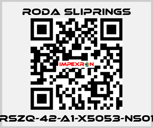 RSZQ-42-A1-X5053-NS01 Roda Sliprings