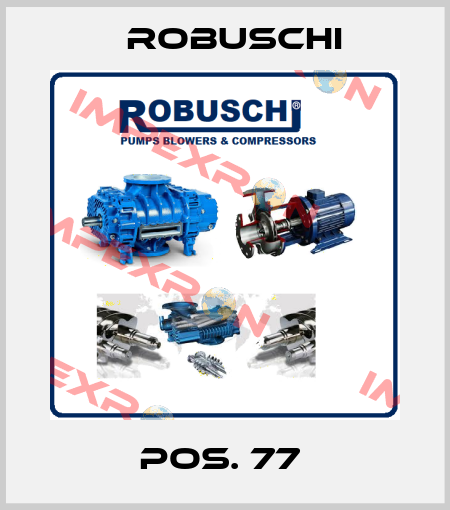 Pos. 77  Robuschi