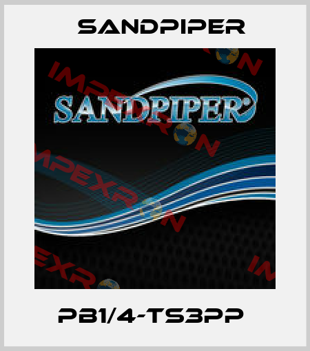 PB1/4-TS3PP  Sandpiper