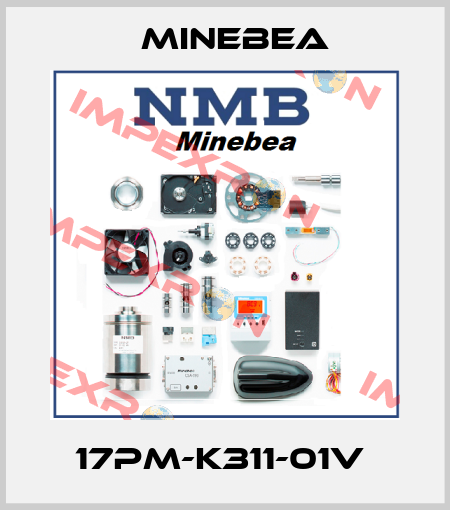 17PM-K311-01V  Minebea