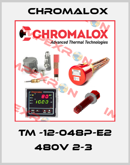 TM -12-048P-E2 480V 2-3  Chromalox