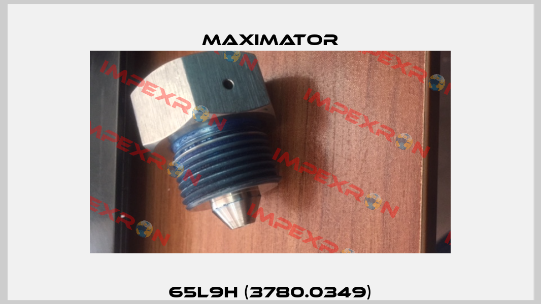 65L9H (3780.0349) Maximator