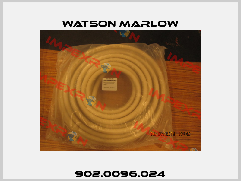 902.0096.024 Watson Marlow