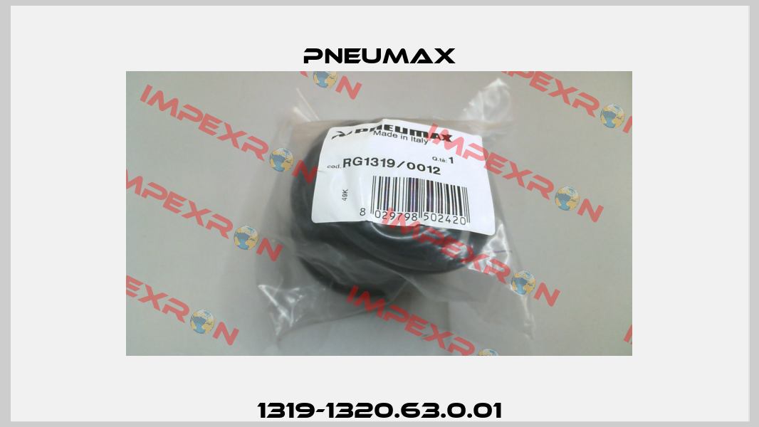 1319-1320.63.0.01 Pneumax