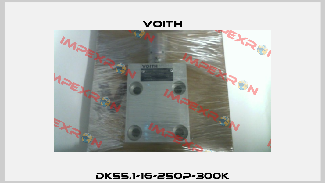 DK55.1-16-250P-300K Voith